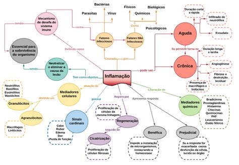 Mapa Conceitual Inflamação Patologia Geral