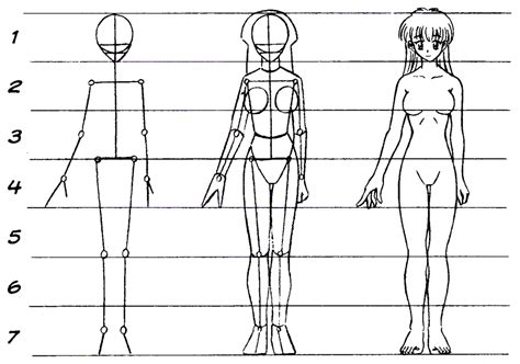 Blog José Petri Desenhando um Personagem Feminino Corpo