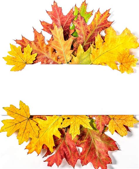 Frame Of Bright Colorful Autumn Leaves On A White Wooden Background