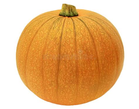 Pumpkin Stock Image Image Of Healthy Vegetable Mature 33821689
