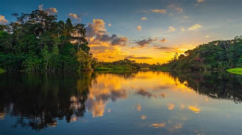 Sunset In The Amazon River Rainforest Basin Yasuni National Park