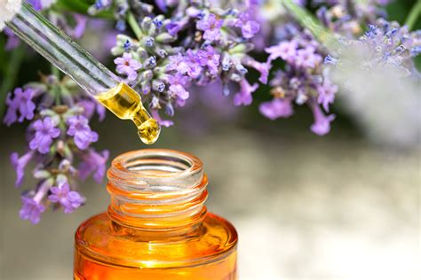 Ways To Use Lavender Essential Oil For Skin Soothe Protect And