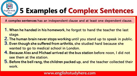 5 Examples Of Complex Sentences English Study Here