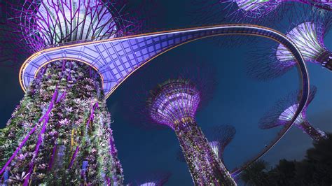 Wallpaper Night Singapore Purple Blue Bridge Ferris