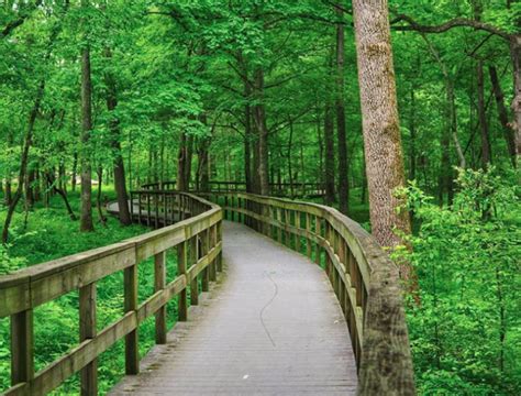 The Easy Hiking Trail In Kentucky That Makes The States Natural Beauty