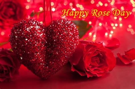 If you need a perfect gift for birthday or anniversary, send this 3d rose live wallpaper let everyday be a valentine's day when you glance at your new rose wallpaper! Rose Day Images HD Wallpapers - Happy Rose Day 2018 3D ...