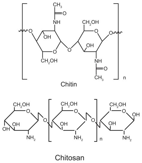 Structure Of Chitin And Chitosan Download Scientific Diagram