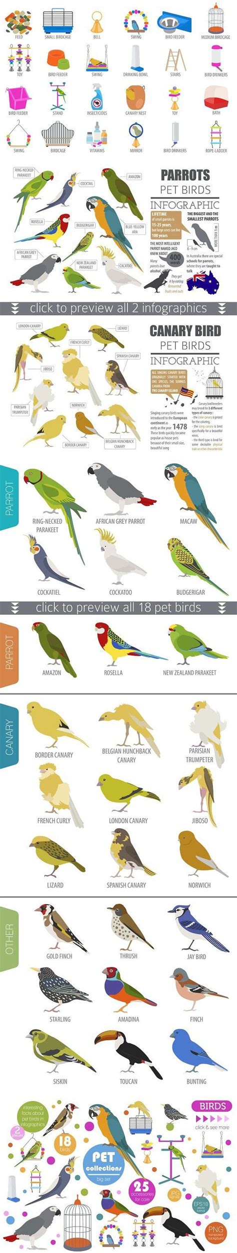 Bird Dog Breeds Chart