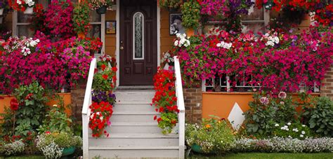 Shall we rank them among the most popular garden flowers? Popular Flowers? U.S. Gardeners' Top 5 « Bombay Outdoors