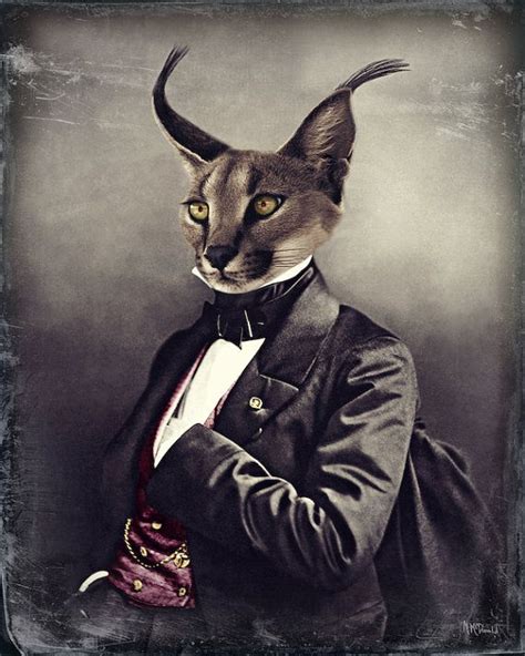 Cat Art Lynx Collage Anthropomorphic Victorian By Watchfulcrowarts 22