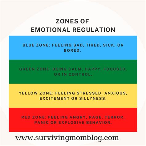 Emotion Regulation Zones