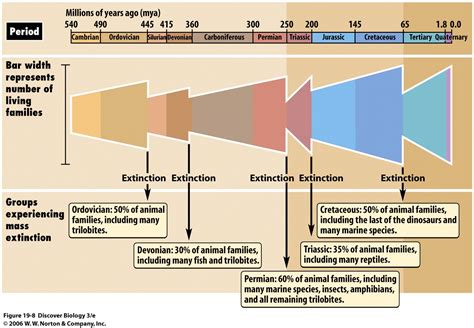 1547 Mass Extinctions What Causes Species Die Off