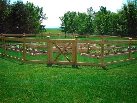 Garden Fencing Perimeter Fence Tx Fenced Vegetable Garden Post And
