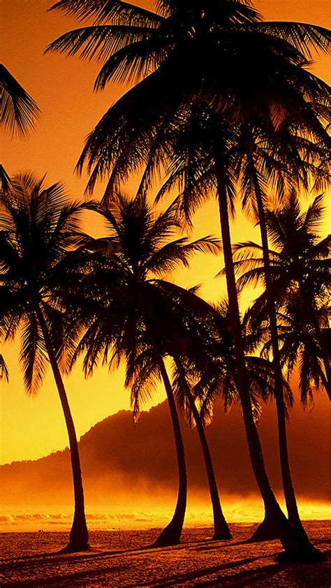 Nature Sunset Beach Coconut Grove Iphone 6 Plus
