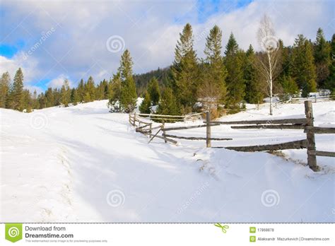 Beautiful Winter Forest Landscape Stock Photo Image Of