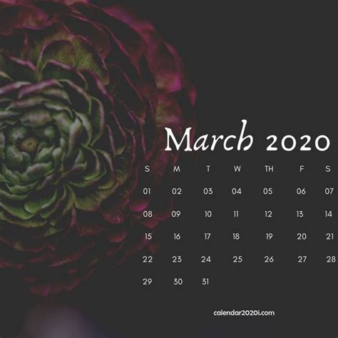 Cute March 2020 Calendar Wallpaper Calendar Printables Monthly
