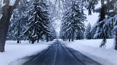 4k Free Download Road Between Snow Covered Green Trees Nature Hd