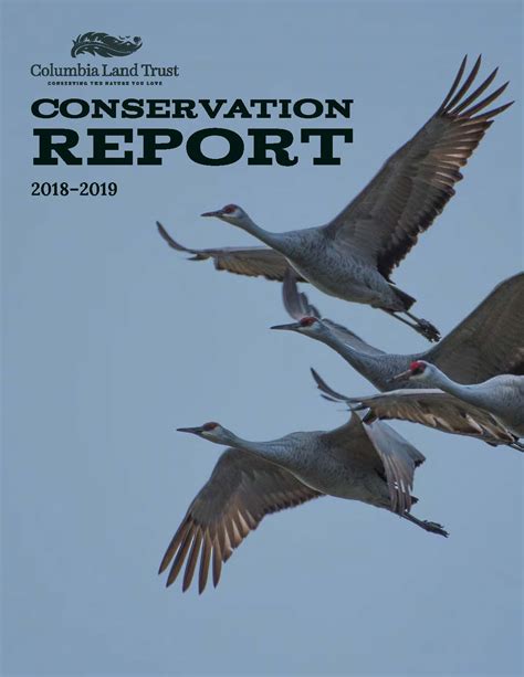 2018 2019 Conservation Report Columbia Land Trust