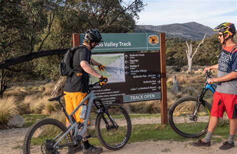 Thredbo Valley Track Adventure Rides Visitor Info Nsw National Parks
