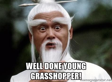 Well Done Young Grasshopper Kung Fu Master 54 Meme Generator
