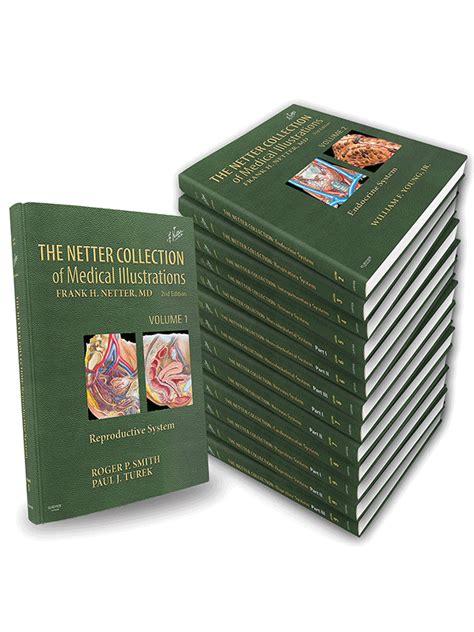 The Netter Collection Of Medical Illustrations Complete Package 14