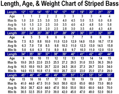 The calculated age will be displayed in years, months, weeks, days, hours, minutes, and seconds. Length, Age, & Weight Chart - STRIPED BASS ! - Main Forum ...