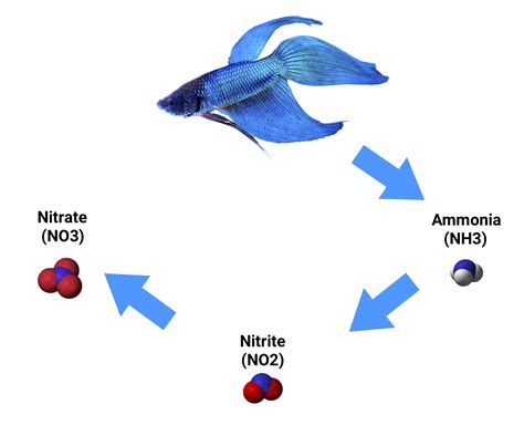 Guide Controlling Nitrate Knowledge Base