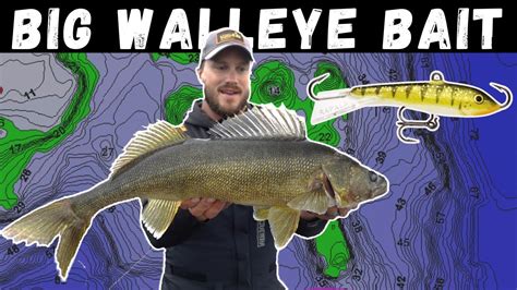 The Best Bait For Big Walleyes How To Fish A Jigging Rap Tips And