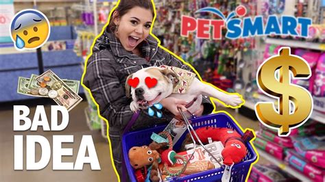 Buying My Dog Everything She Touches Steph Pappas Youtube