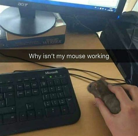 Try Connecting The Wire Behind The Mouse To The Pc Rmemes