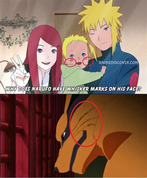 What Did Kurama Do Naruto Funny Anime Naruto Sasuke Sakura
