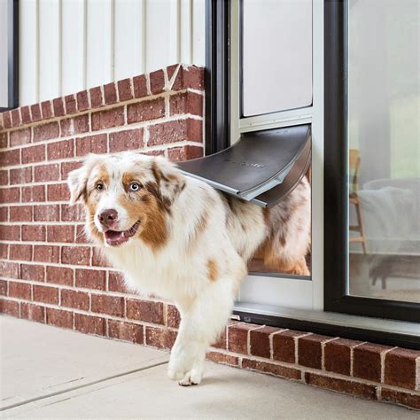 Petsafe Extreme Weather Sliding Glass Pet Door Easy To Install