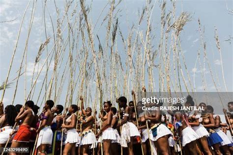 zulu maidens photos and premium high res pictures getty images