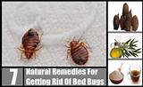 Photos of Natural Ways To Get Rid Of Bed Bugs At