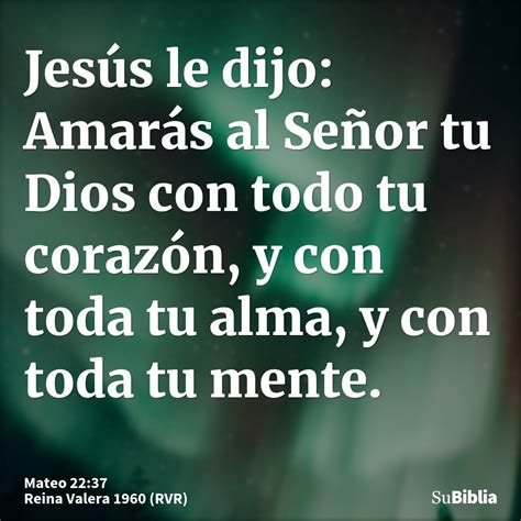 Mateo Biblia