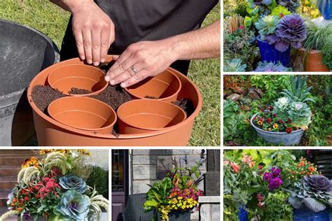 Maintaining A Container Garden Ultimate Guide Garden Lovers Club