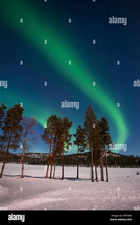 Northern Lights Aurora Borealis In Lapland Finland Stock Photo Alamy