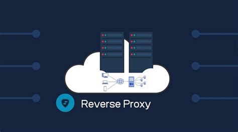 Reverse Proxy Guide What Is A Reverse Proxy How It Works Best Proxy Reviews