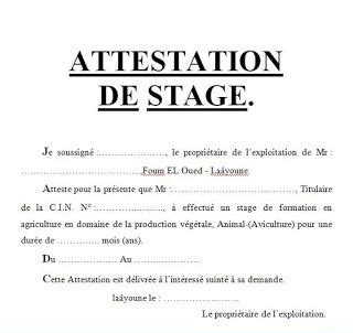 Exemples De Mod Le D Attestation De Stage En Word Doc Artofit