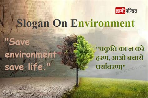 Below is a list of environmental slogans. Nature essay for kids in hindi - Buy Essay Papers Online ...
