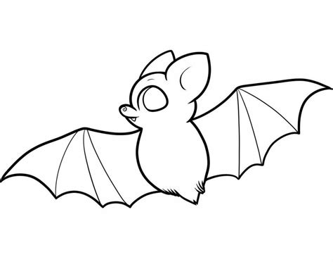 Bat Coloring Pages For Kids Photo Animal Place