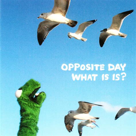 5 out of 5 stars. Exposé Online » Artists » Opposite Day
