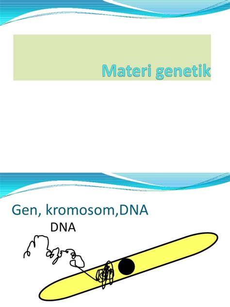 Materi Genetik Pdf Homecare24