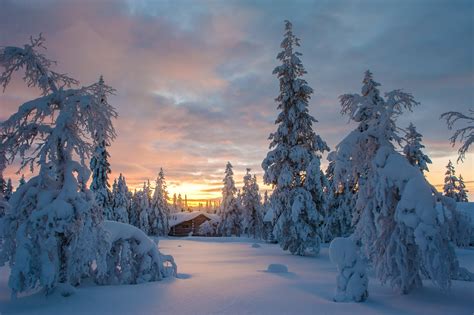 Lapland Een Magisch Winterwonderland Vink Academy