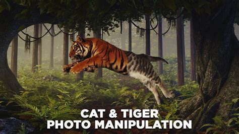 How To Photo Manipulation Tutorial Tiger And Cat Youtube