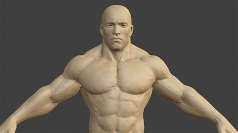 3D model Muscular male body VR / AR / low-poly | CGTrader