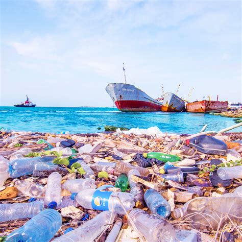 The Consequences Of Ocean Plastic Pollution Vita World
