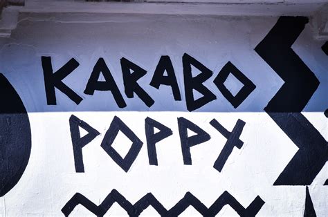Karabo Poppy Vuse Pattern On Behance