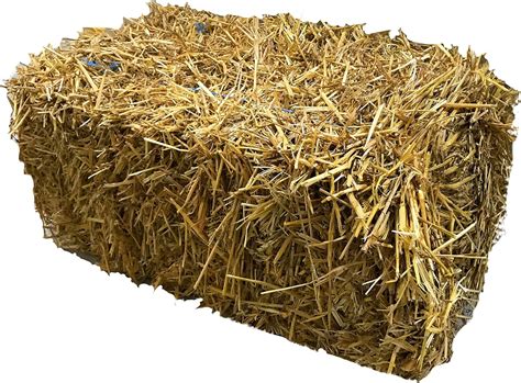 Straw Bales Best Wheat Straw Approx 14kg Full Bale Uk Pet