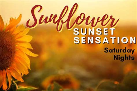 Sunflower Sunset Sensation Todoontario